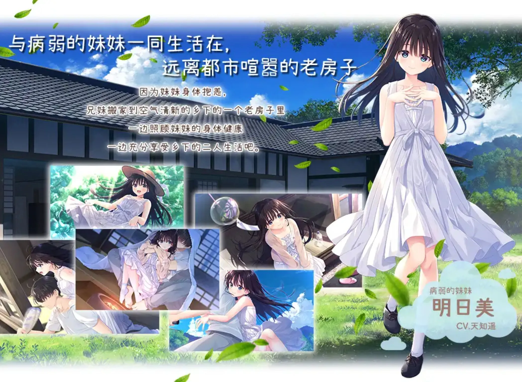 图片[2]-【RPG/中文】痴情哥哥与病弱妹妹的乡间生活 Ver1.00  DL完整官方中文版 【2.7G/新作/CV】-嘤嘤怪之家