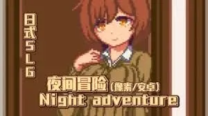 【互动SLG/无文本/像素风/PC+安卓/新作】 夜间冒险Night adventure DL完整版  【100M/UC】