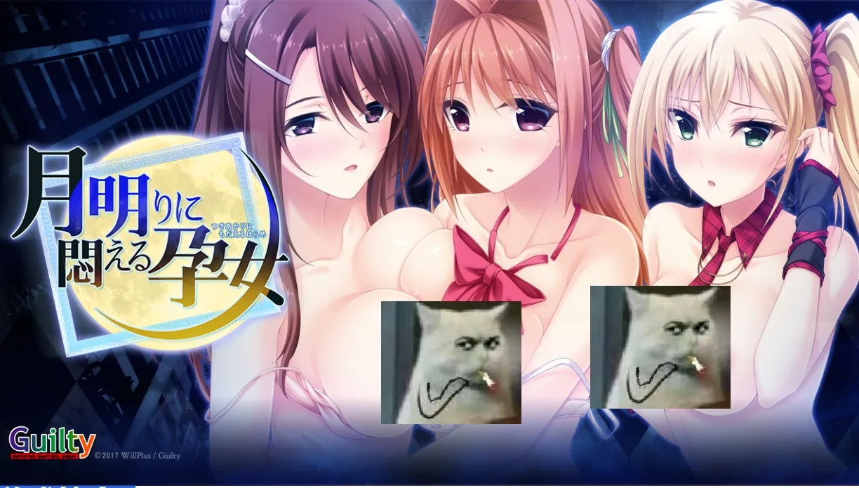 图片[1]-【日式ADV/AI汉化/拔作】月明りに悶える孕女 Claude-3-7-sonnet翻译版【900M/全CV/新汉化】-嘤嘤怪之家