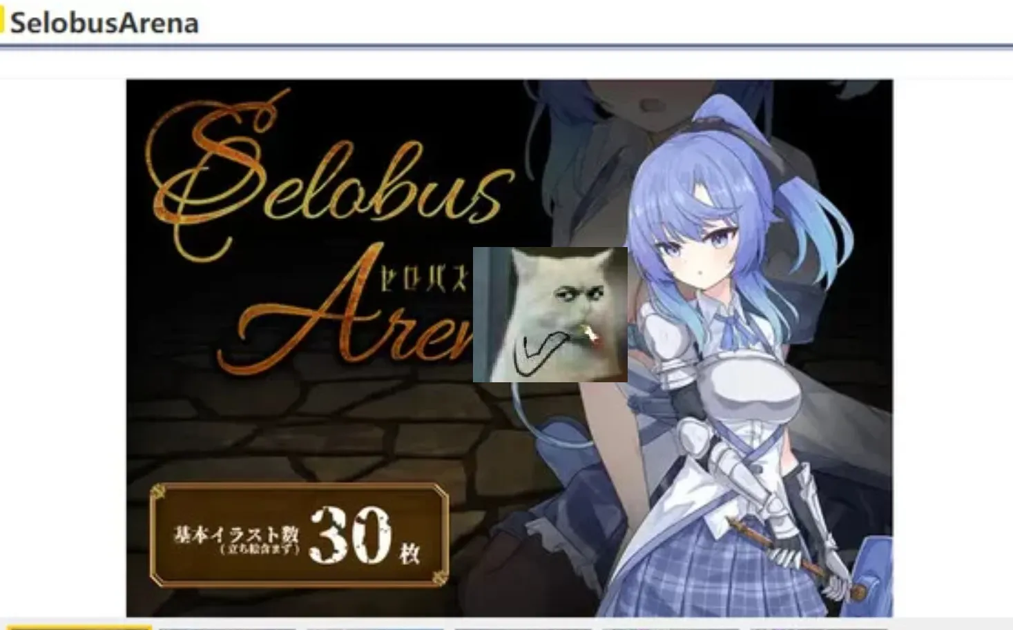 图片[1]-[日式RPG/AI汉化] 塞洛布斯竞技场 SelobusArena AI汉化版 [2.8G/新作/CV]-嘤嘤怪之家