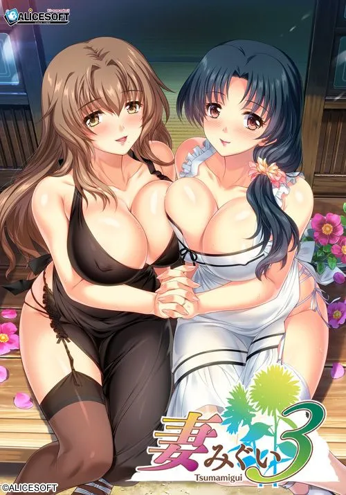图片[1]-[神级大作SLG/精修汉化] [Alicesoft] 妻みぐい３ / 妻中蜜３ v0.801汉化 937d22a3个人校对手修版+本体整合 [2.2G/更新/全CV]-嘤嘤怪之家