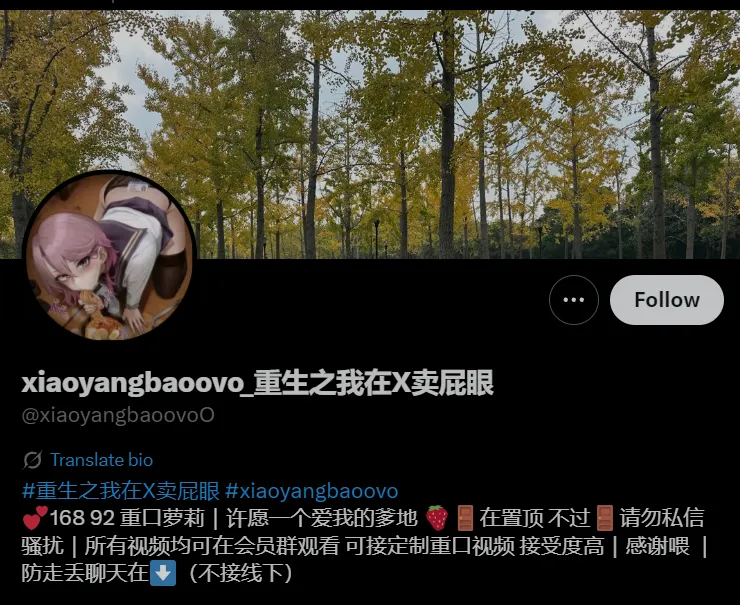 [视频/步兵/合集] 推特福利姬：重生之我在x卖屁眼 @xiaoyangbaoovo 赞助合集 [22V] [300M]-嘤嘤怪之家